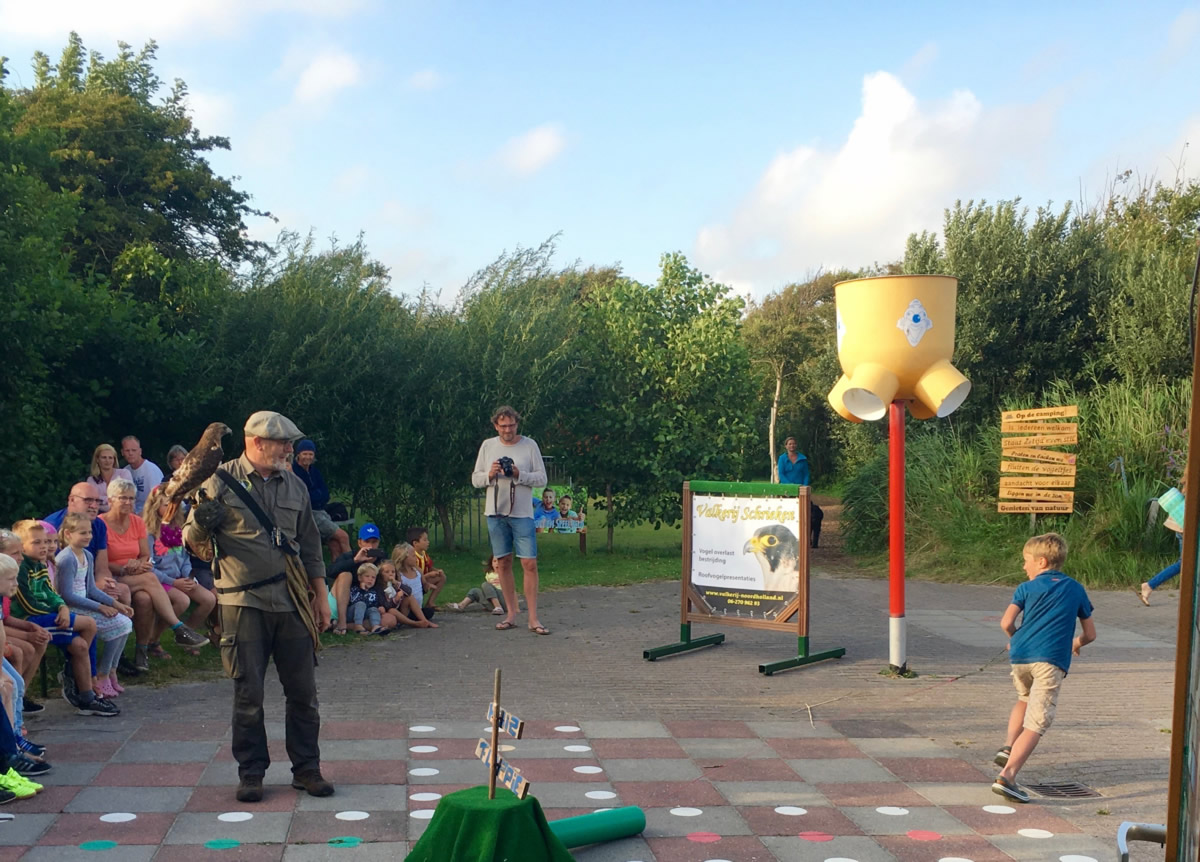 Roofvogelpresentaties door Valkerij Schrieken